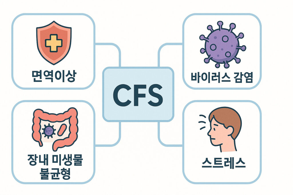 만성 피로증후군의 다양한 원인 다이어그램