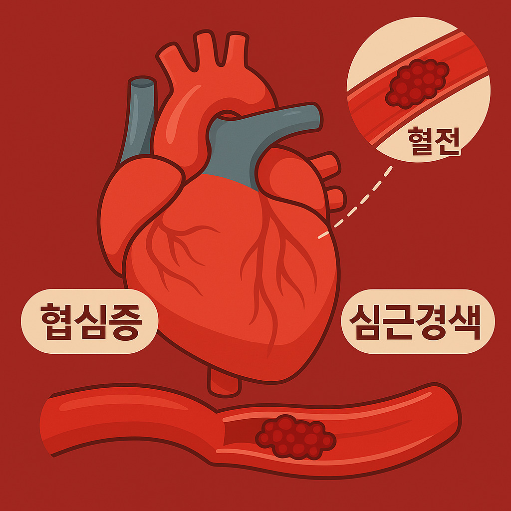 심혈관계 질환과의 연관성