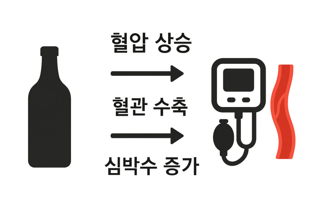 알코올과 혈압의 관계 이미지