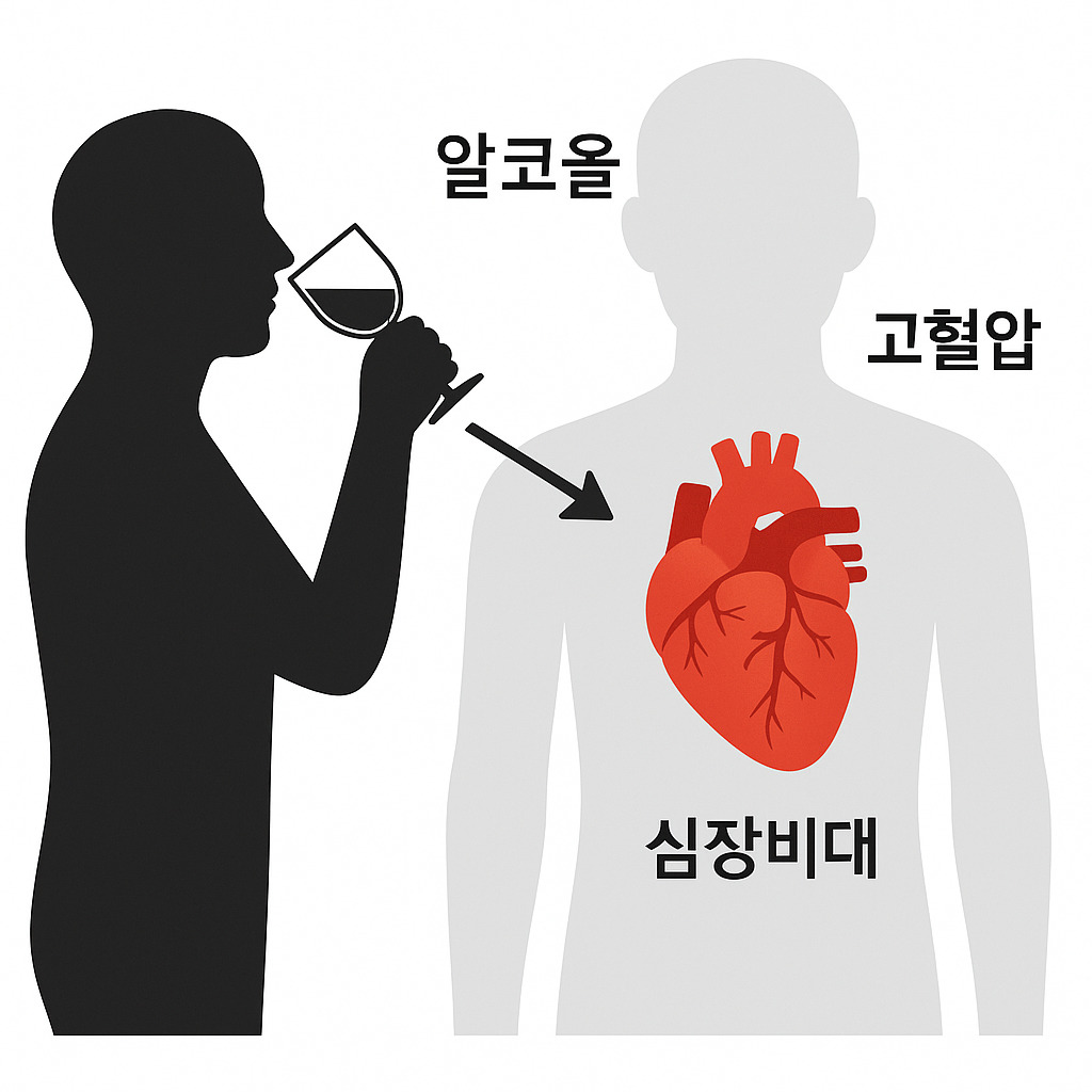 음주가 심장에 미치는 영향 인포그래픽