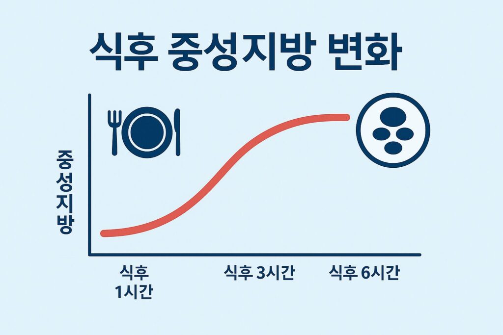 식사 후 중성지방 변화 흐름도